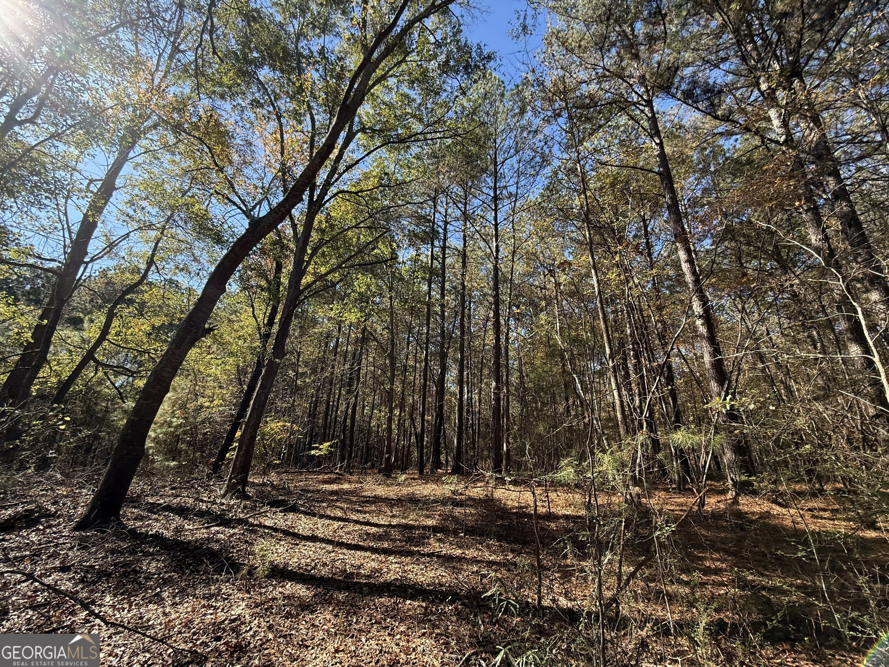 1 Lem Edwards Road Colbert, GA 30628 - Photo 34 of 53