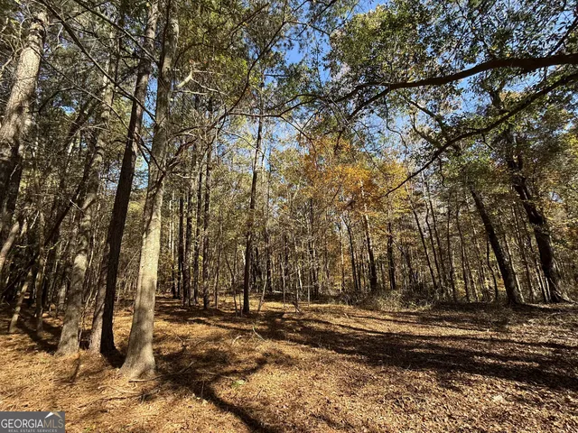 $120,000 | 1 Lem Edwards Road, Colbert, GA 30628