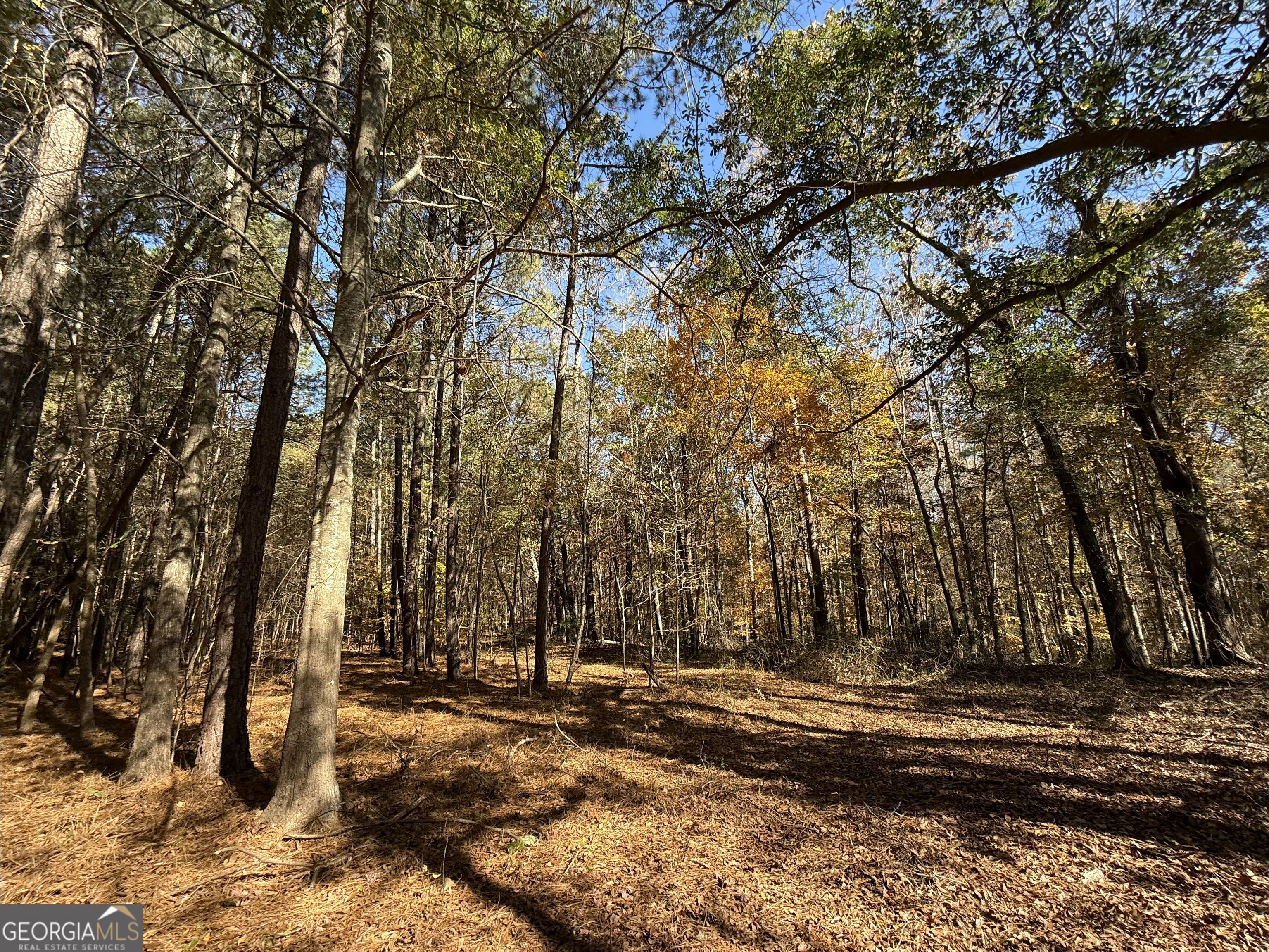 1 Lem Edwards Road Colbert, GA 30628 - Photo 35 of 53