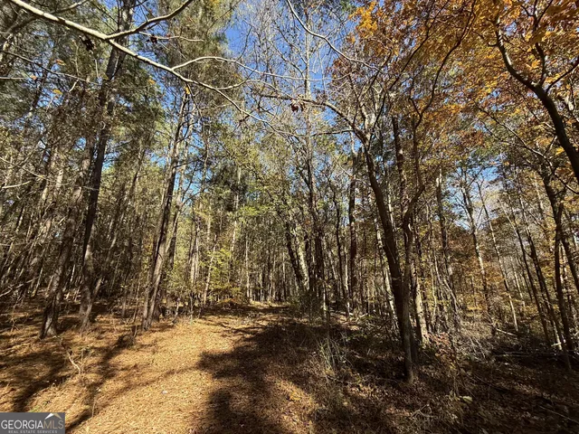 $120,000 | 1 Lem Edwards Road, Colbert, GA 30628