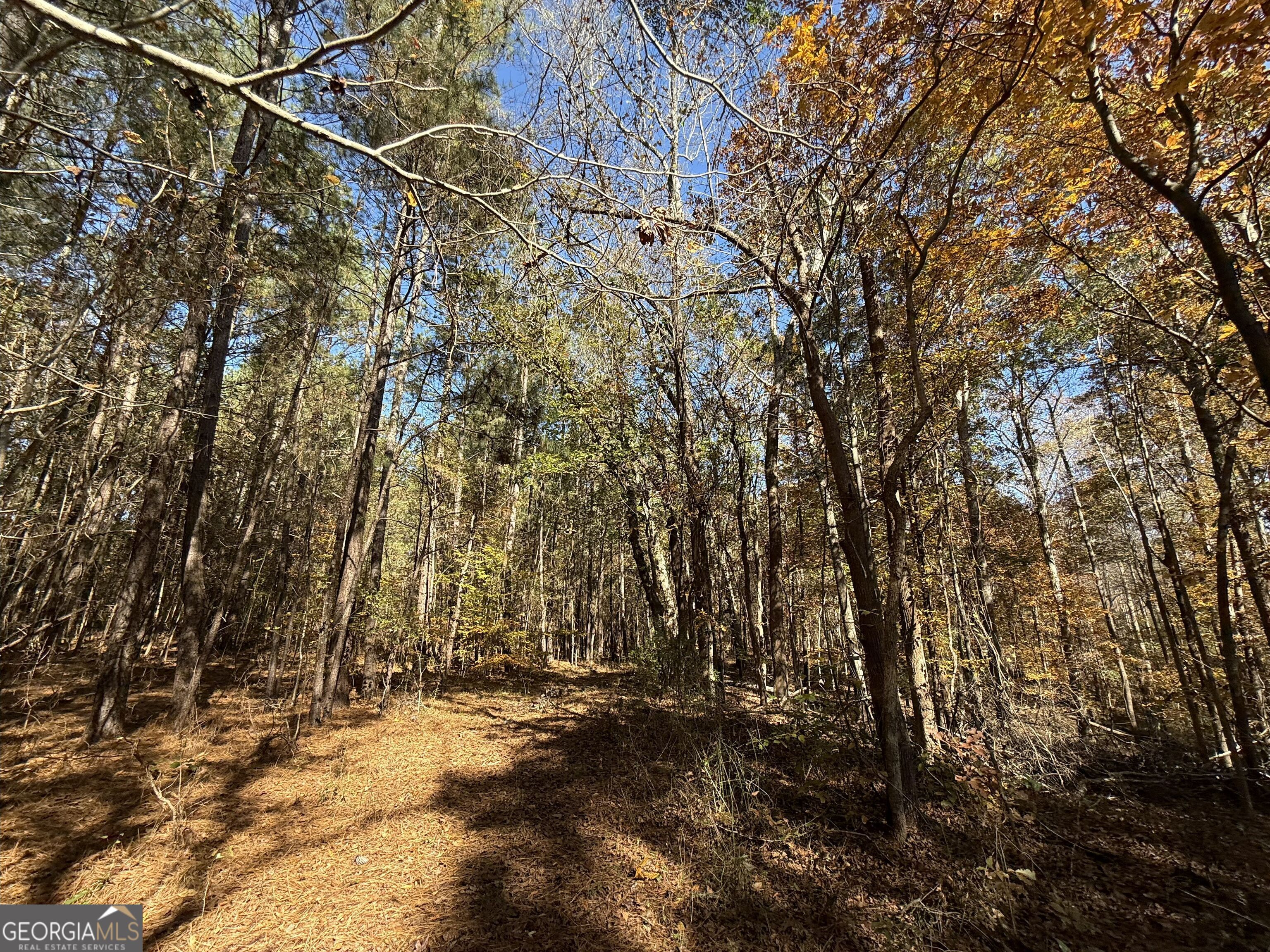 1 Lem Edwards Road Colbert, GA 30628 - Photo 36 of 53