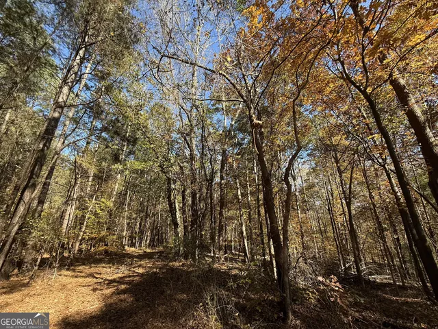 $120,000 | 1 Lem Edwards Road, Colbert, GA 30628