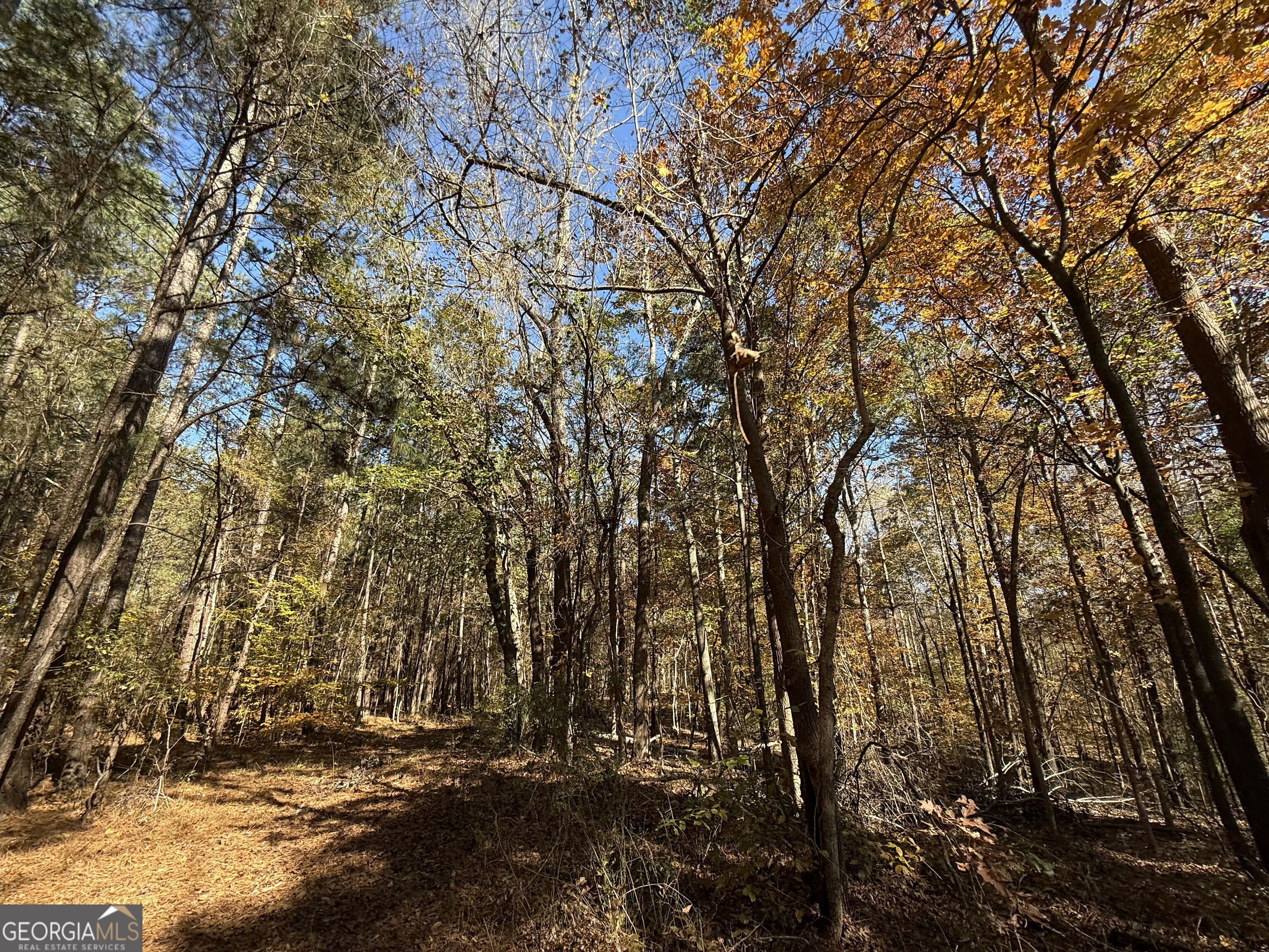 1 Lem Edwards Road Colbert, GA 30628 - Photo 37 of 53