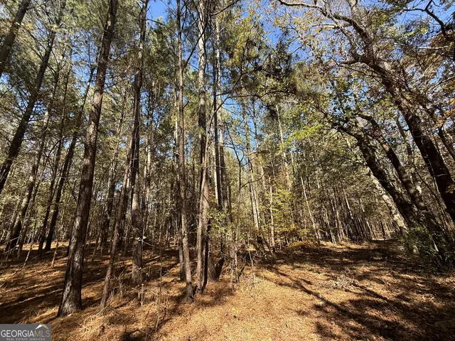 $120,000 | 1 Lem Edwards Road, Colbert, GA 30628