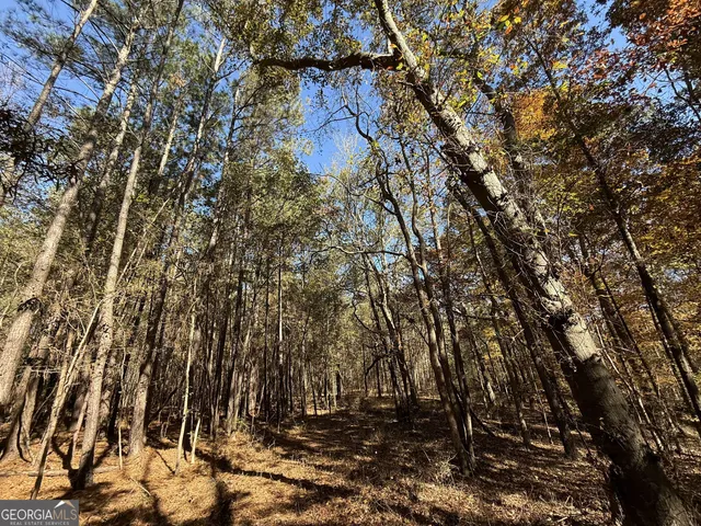 $120,000 | 1 Lem Edwards Road, Colbert, GA 30628