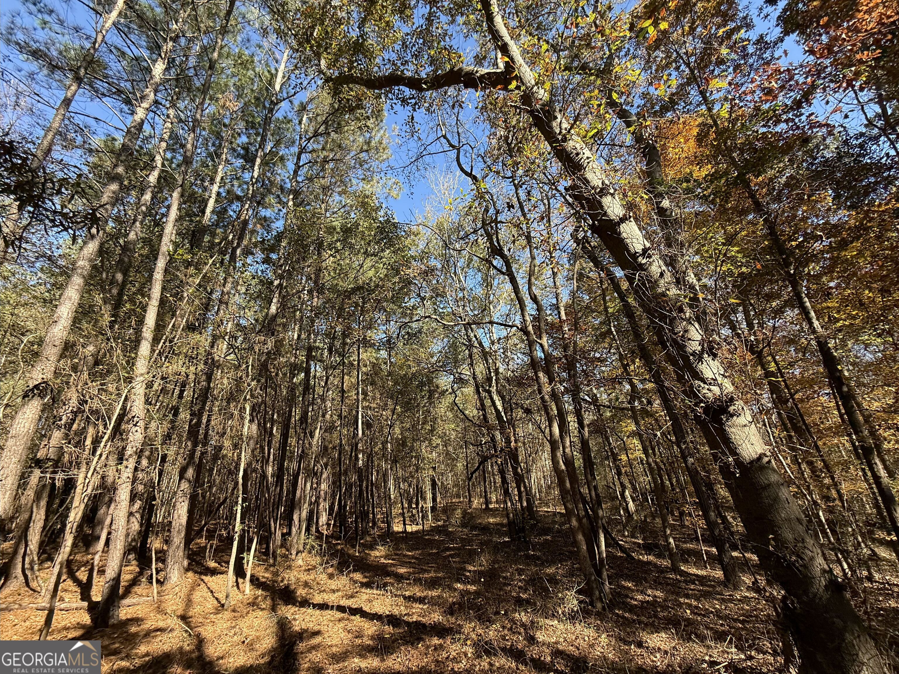 1 Lem Edwards Road Colbert, GA 30628 - Photo 39 of 53