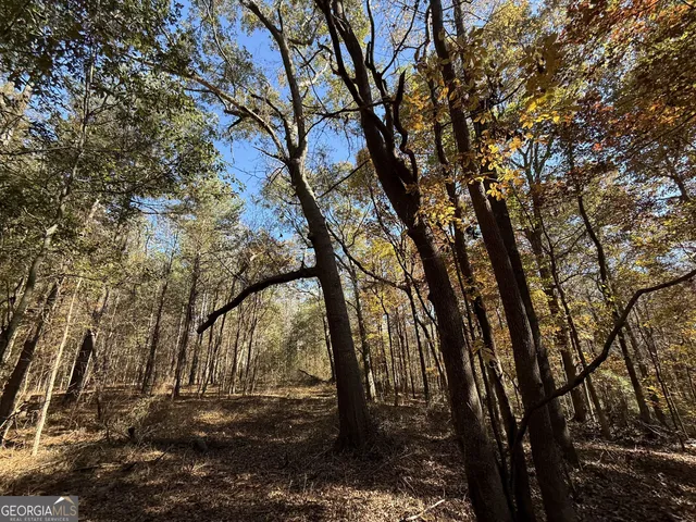 $120,000 | 1 Lem Edwards Road, Colbert, GA 30628