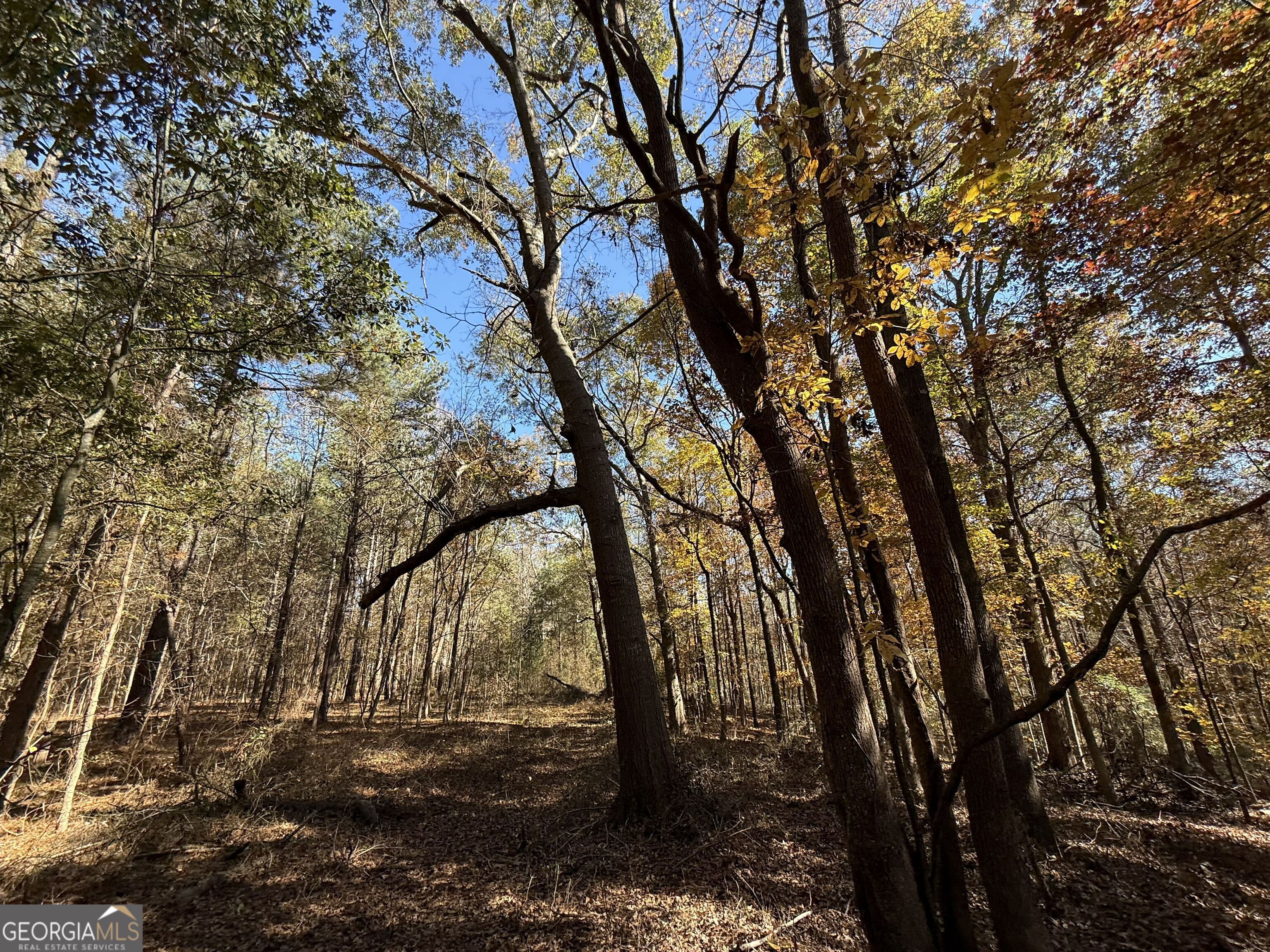 1 Lem Edwards Road Colbert, GA 30628 - Photo 40 of 53