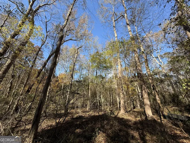 $120,000 | 1 Lem Edwards Road, Colbert, GA 30628