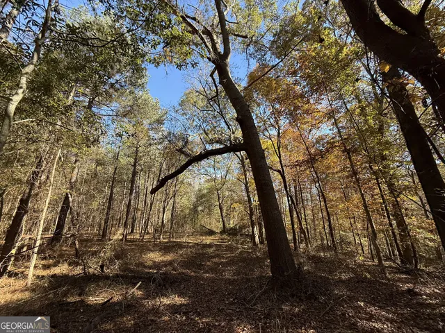 $120,000 | 1 Lem Edwards Road, Colbert, GA 30628