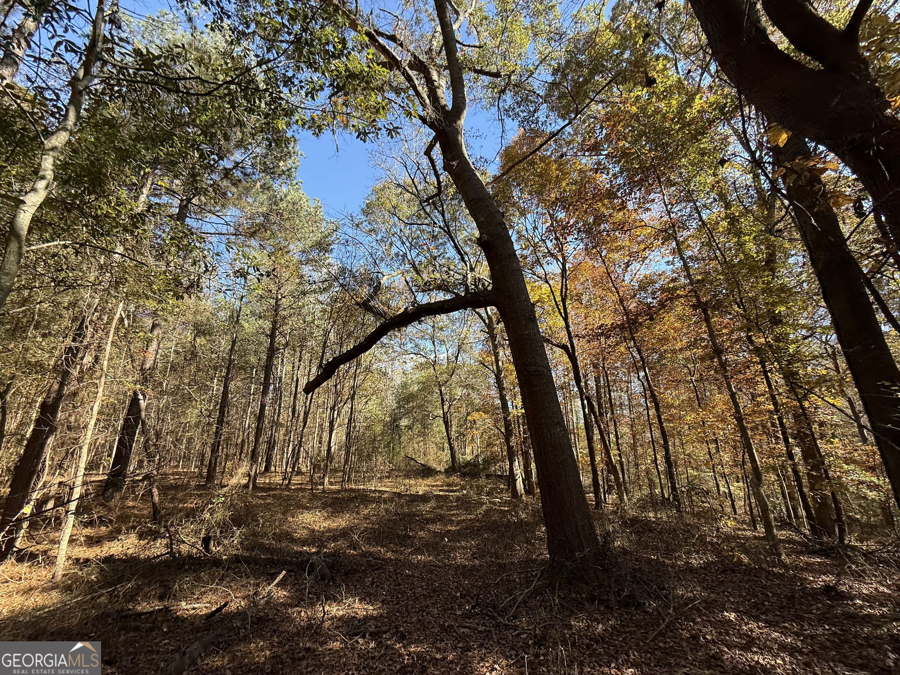 1 Lem Edwards Road Colbert, GA 30628 - Photo 41 of 53