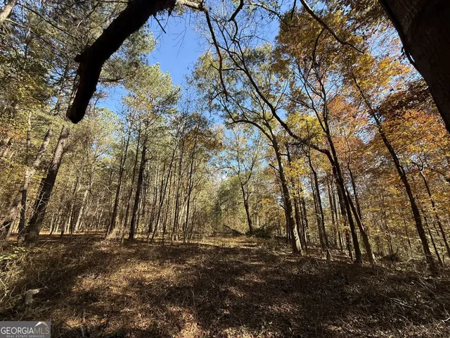 $120,000 | 1 Lem Edwards Road, Colbert, GA 30628