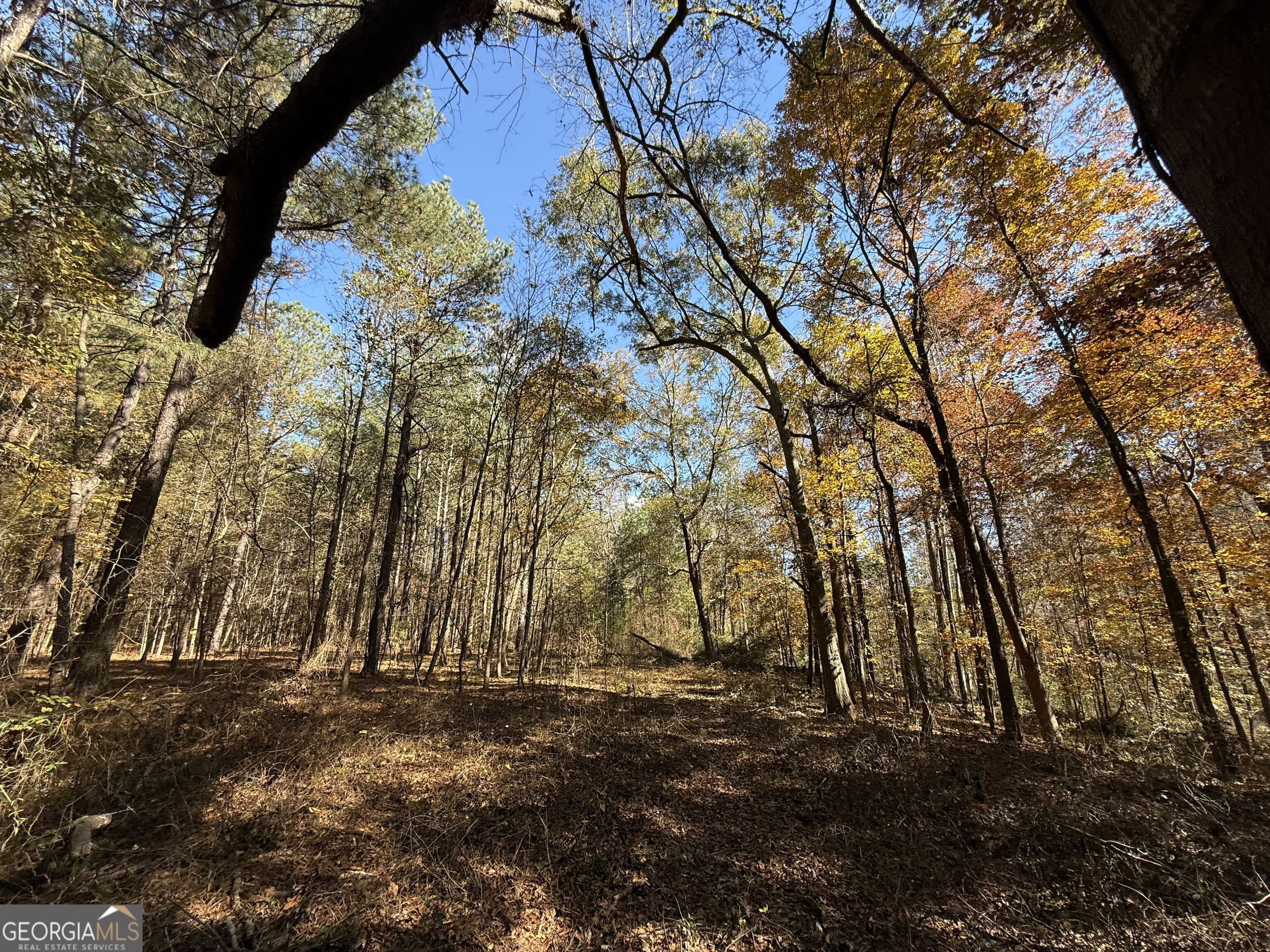 1 Lem Edwards Road Colbert, GA 30628 - Photo 42 of 53