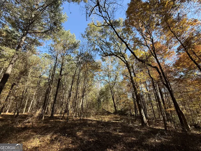 $120,000 | 1 Lem Edwards Road, Colbert, GA 30628