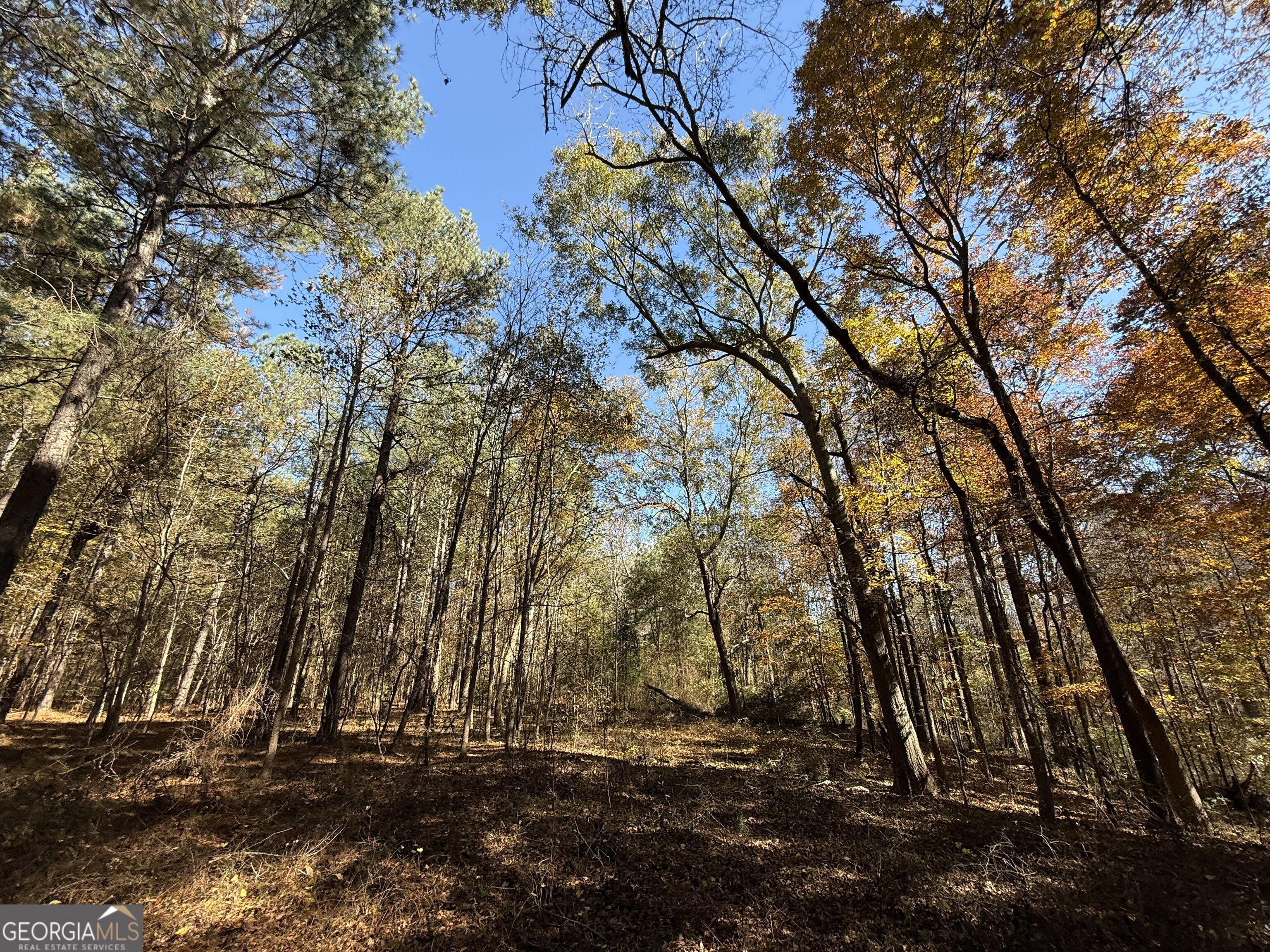 1 Lem Edwards Road Colbert, GA 30628 - Photo 43 of 53