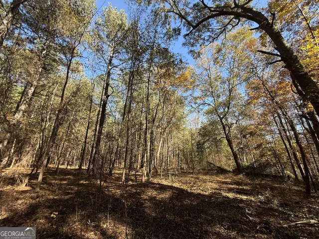 $120,000 | 1 Lem Edwards Road, Colbert, GA 30628