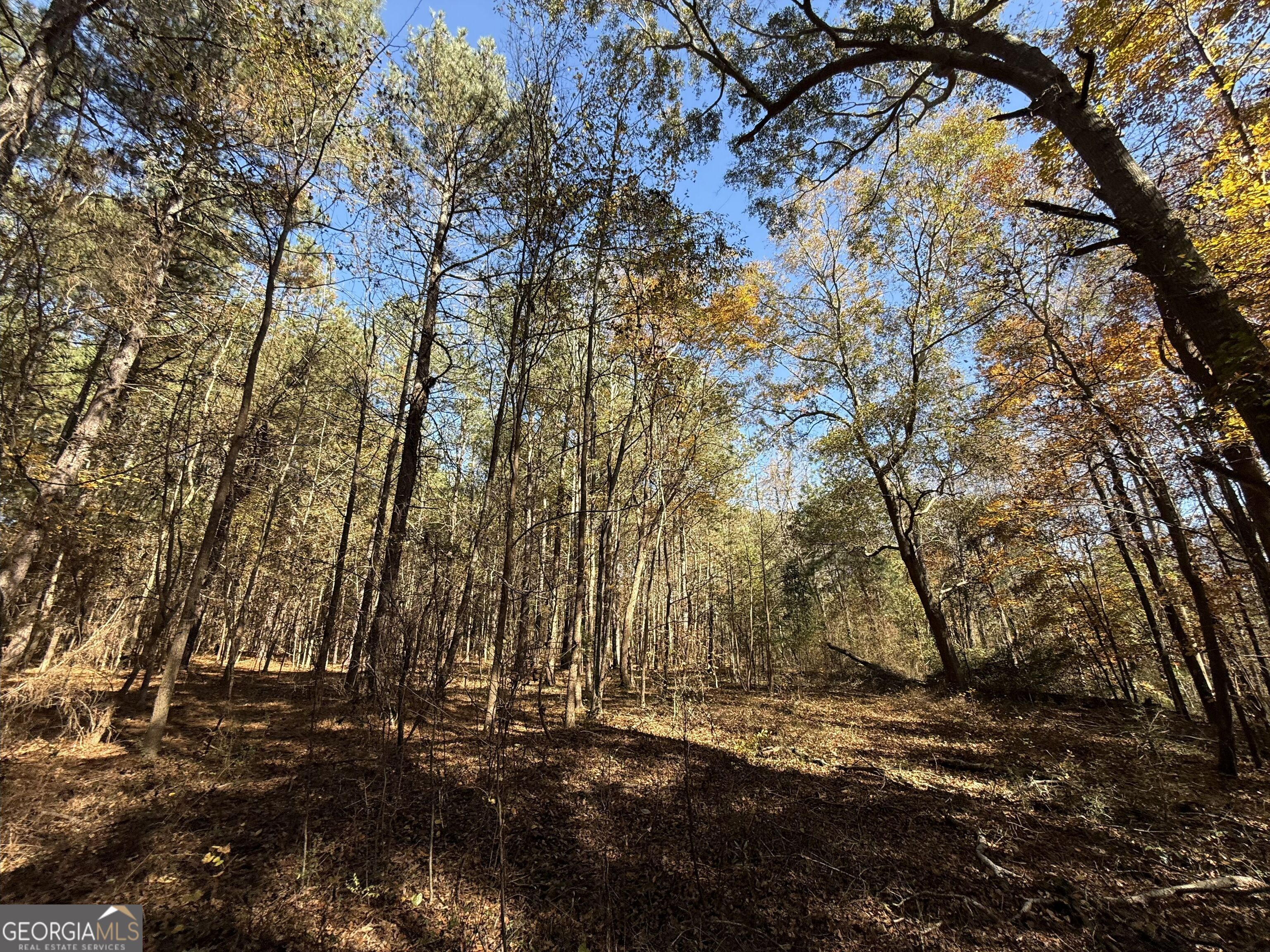 1 Lem Edwards Road Colbert, GA 30628 - Photo 44 of 53