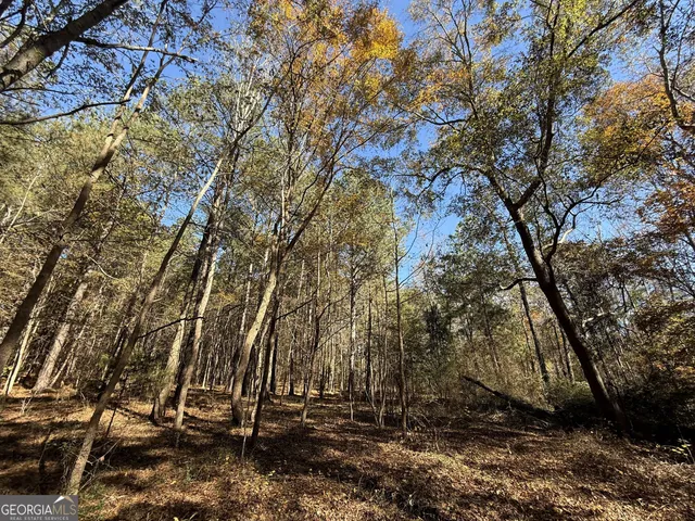 $120,000 | 1 Lem Edwards Road, Colbert, GA 30628