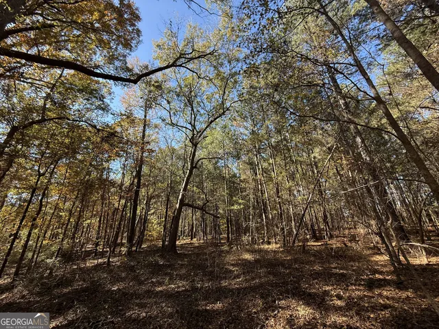 $120,000 | 1 Lem Edwards Road, Colbert, GA 30628