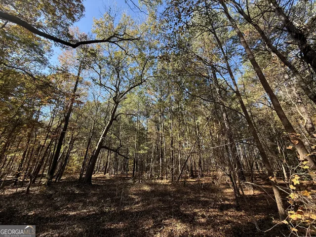 $120,000 | 1 Lem Edwards Road, Colbert, GA 30628