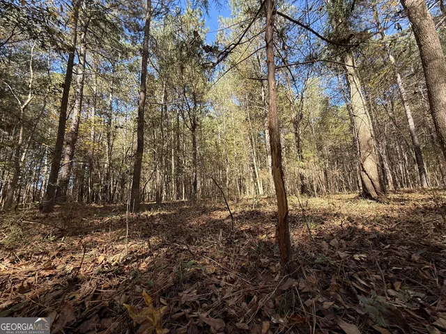 $120,000 | 1 Lem Edwards Road, Colbert, GA 30628