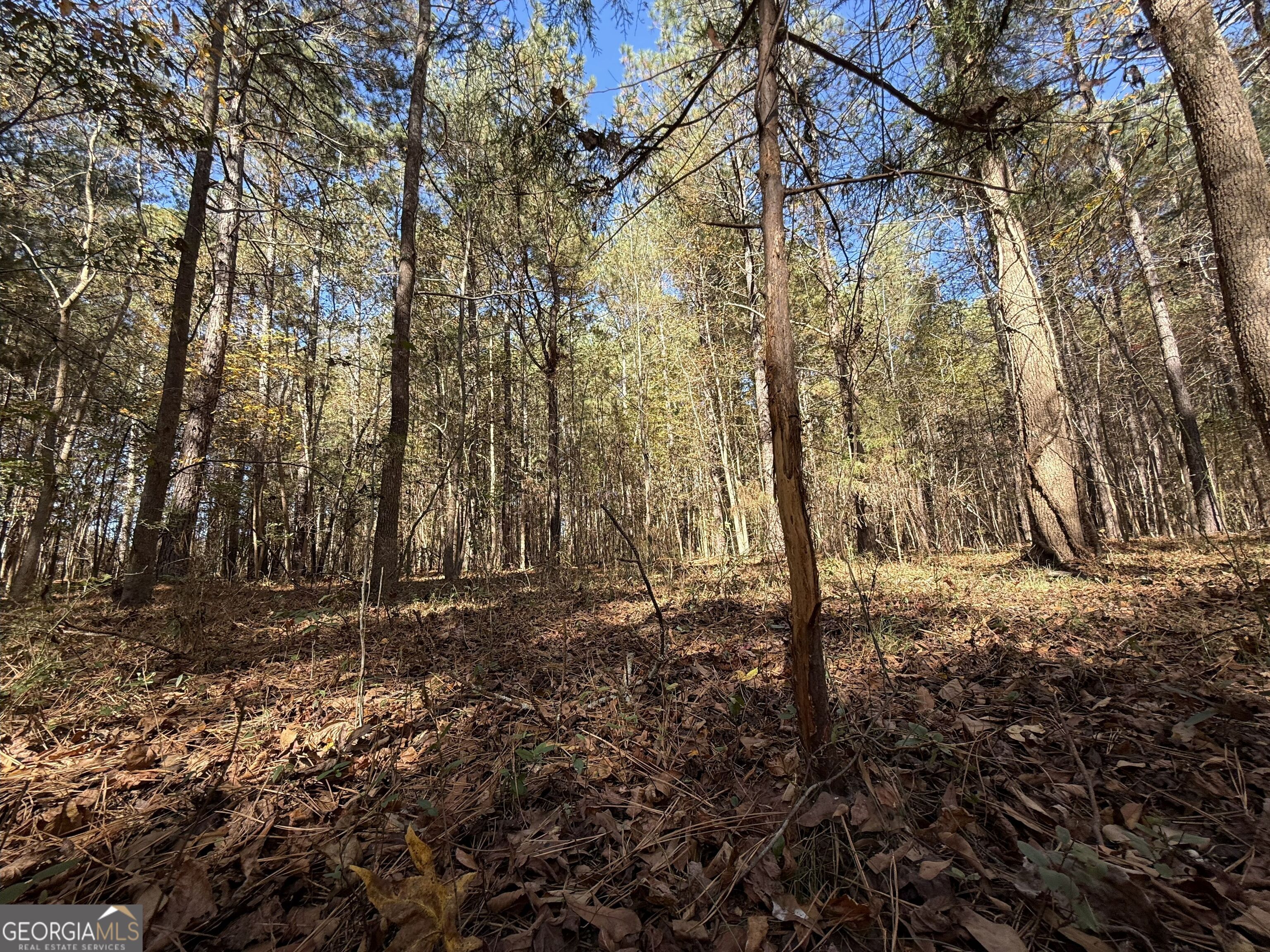 1 Lem Edwards Road Colbert, GA 30628 - Photo 48 of 53