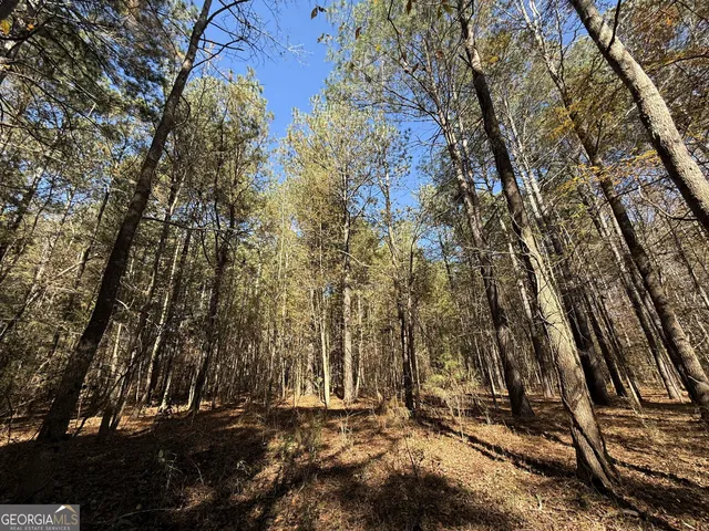 $120,000 | 1 Lem Edwards Road, Colbert, GA 30628