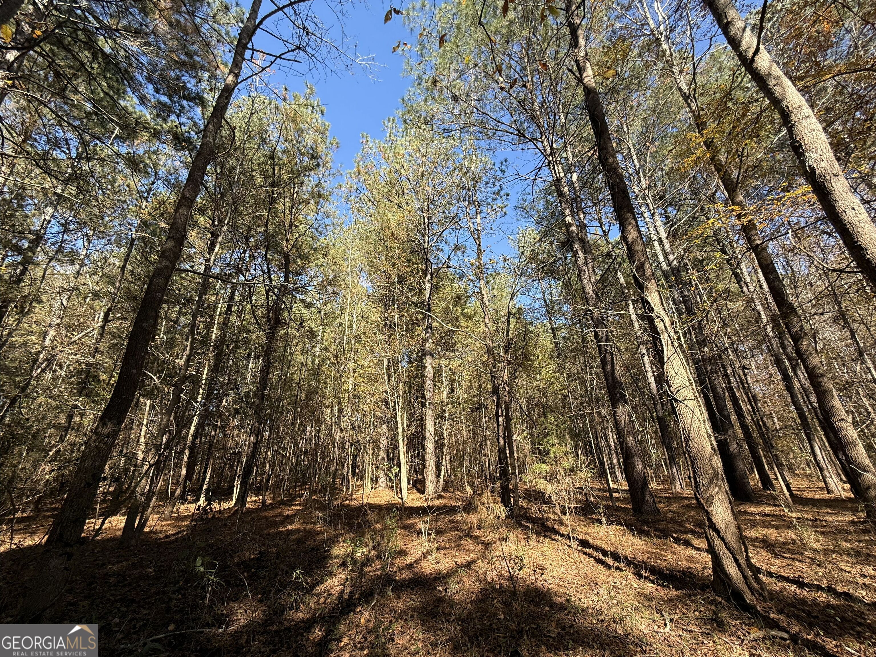 1 Lem Edwards Road Colbert, GA 30628 - Photo 49 of 53