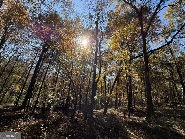 $120,000 | 1 Lem Edwards Road, Colbert, GA 30628