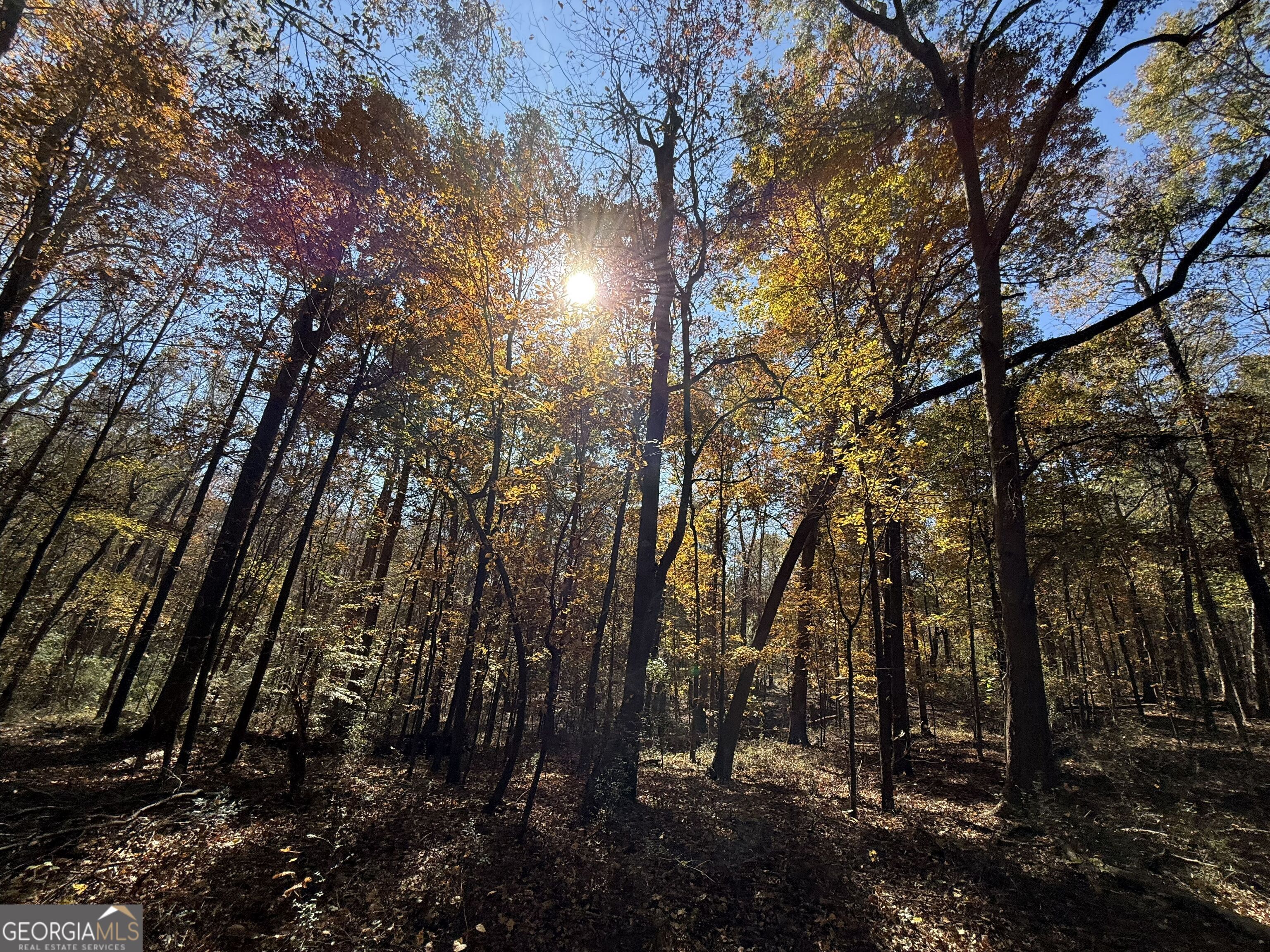 1 Lem Edwards Road Colbert, GA 30628 - Photo 50 of 53