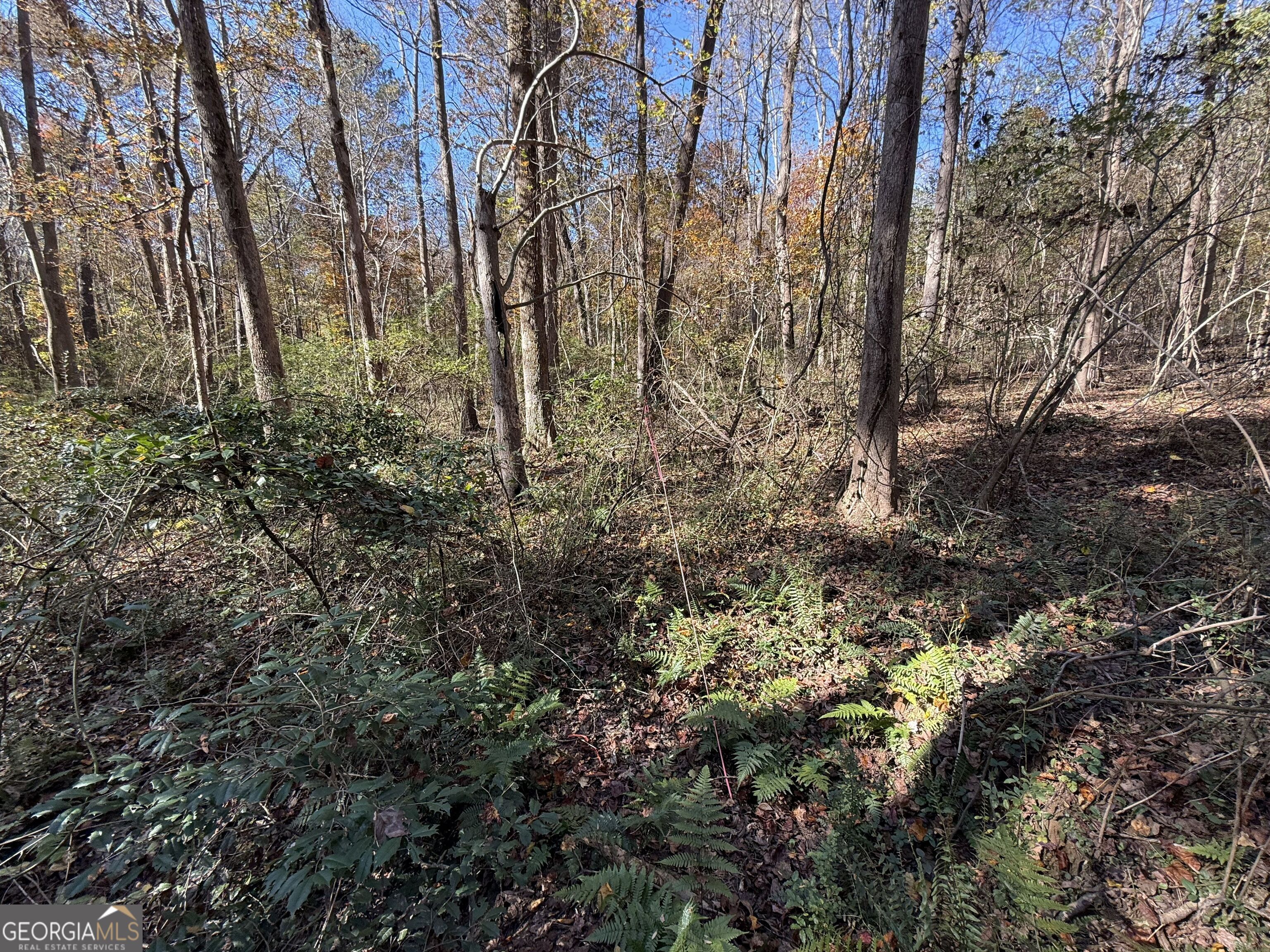 1 Lem Edwards Road Colbert, GA 30628 - Photo 5 of 53