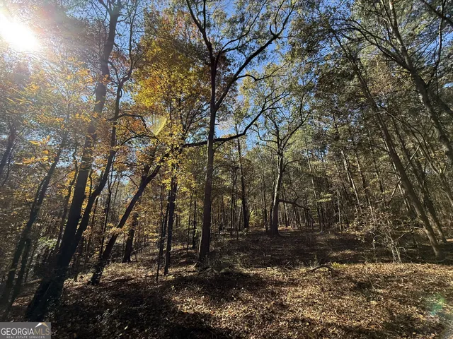 $120,000 | 1 Lem Edwards Road, Colbert, GA 30628