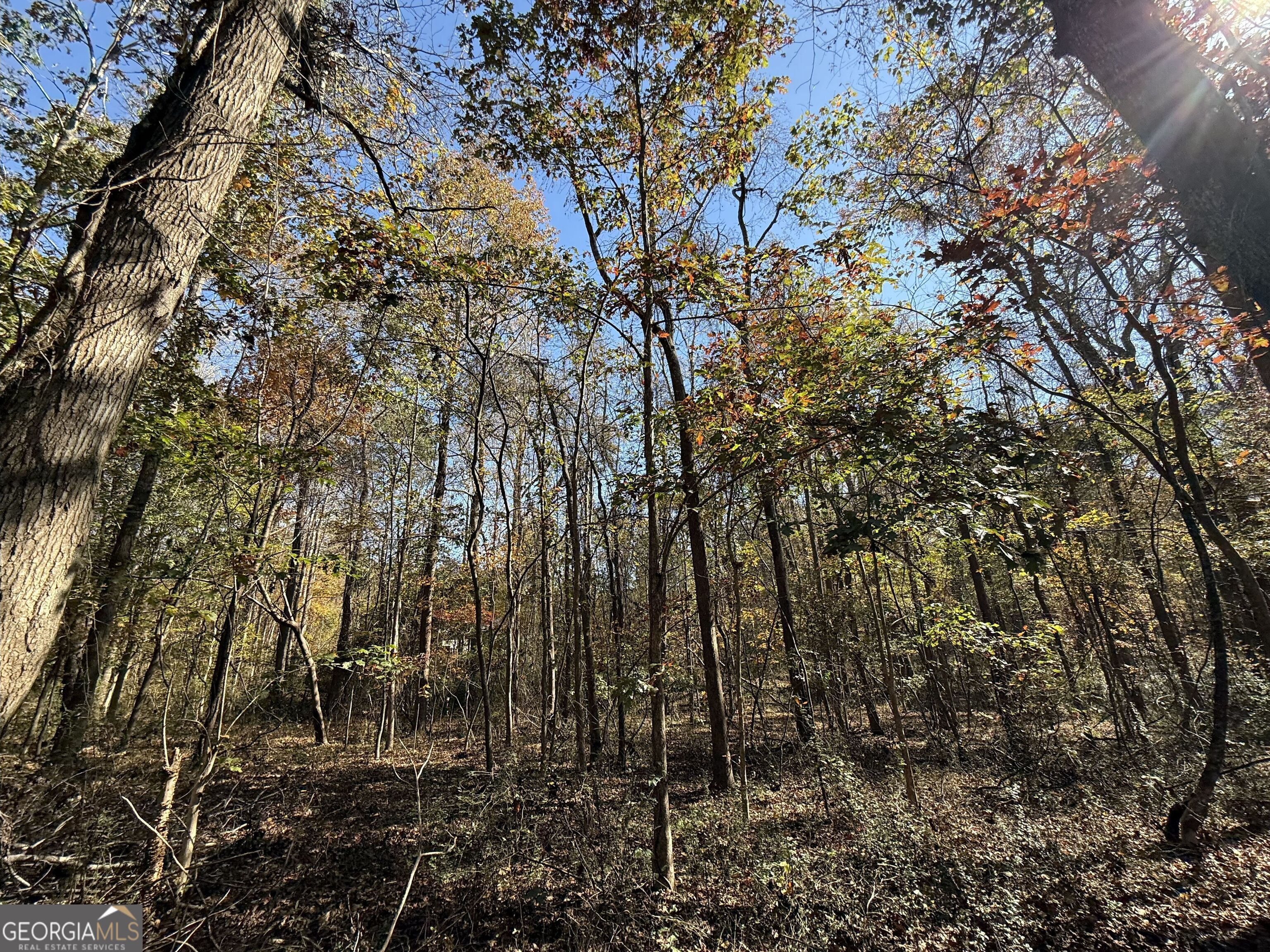 1 Lem Edwards Road Colbert, GA 30628 - Photo 52 of 53