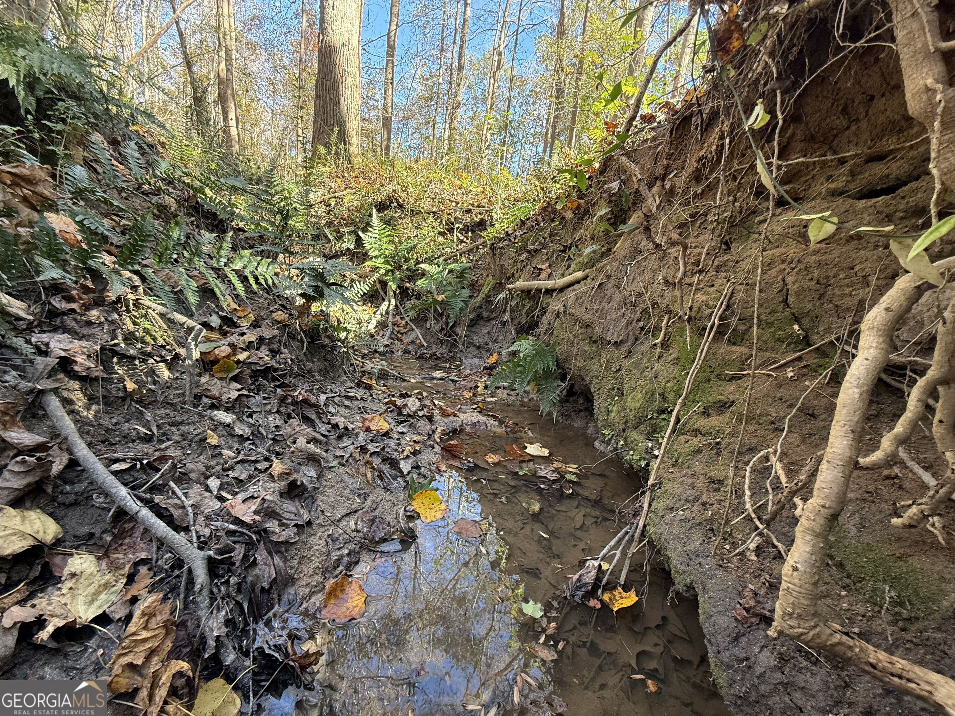 1 Lem Edwards Road Colbert, GA 30628 - Photo 6 of 53