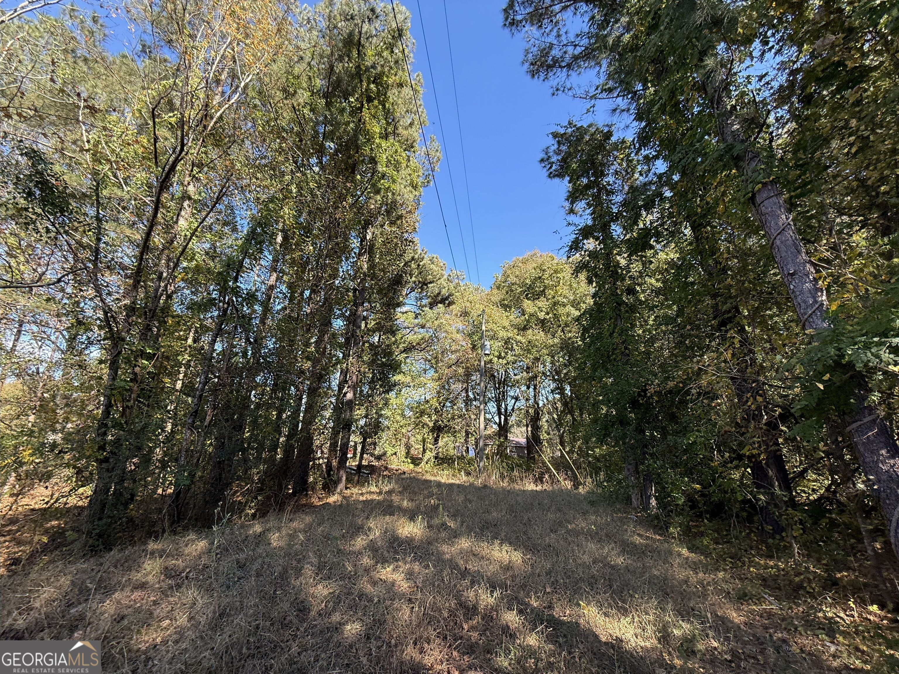 1 Lem Edwards Road Colbert, GA 30628 - Photo 8 of 53