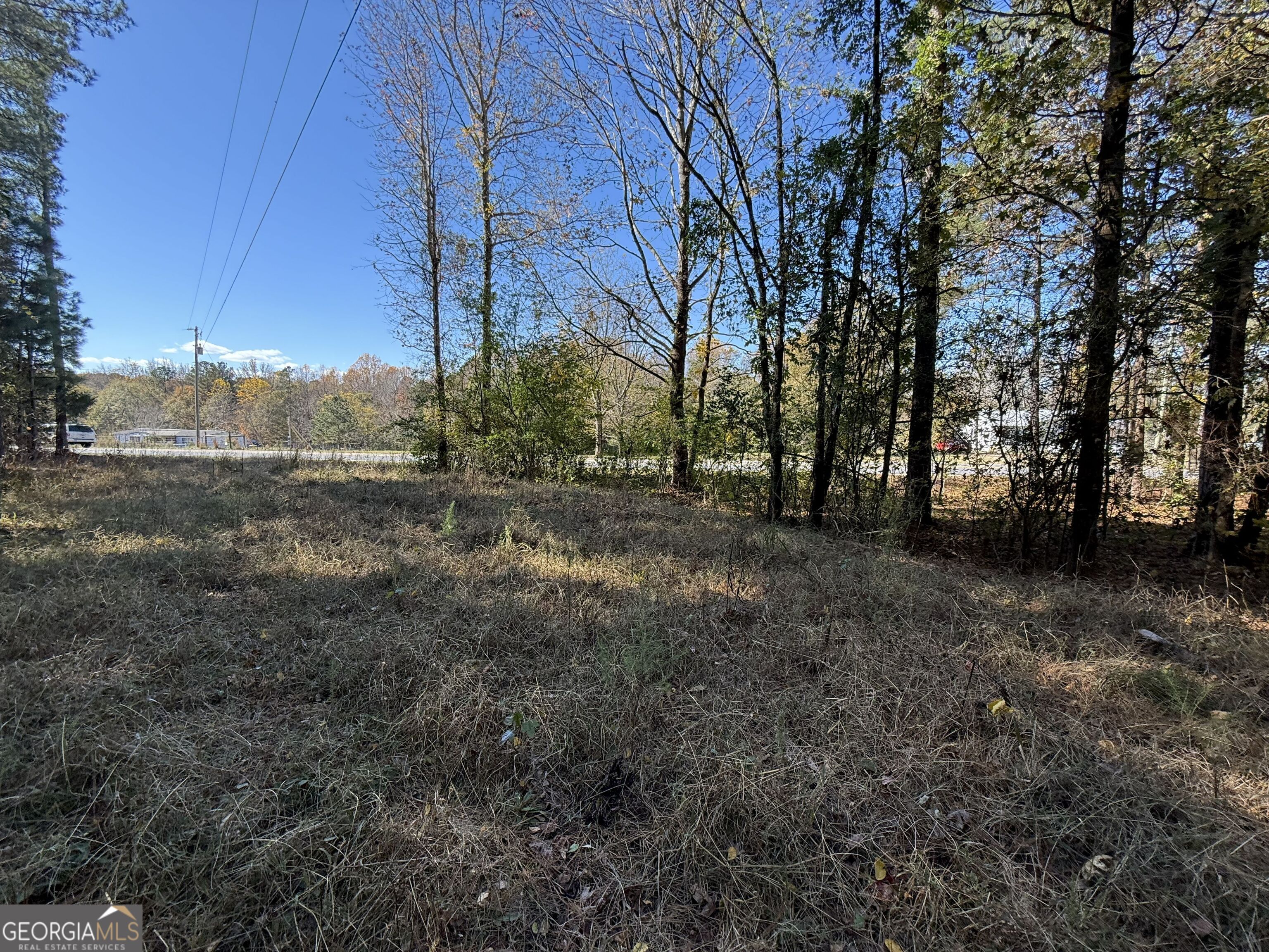 1 Lem Edwards Road Colbert, GA 30628 - Photo 10 of 53