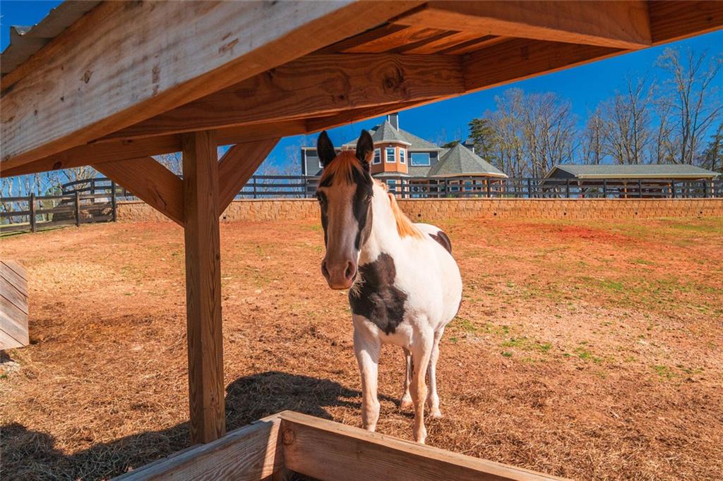 463 East Valley Road Northeast Rydal, GA 30171 - Photo 45 of 54