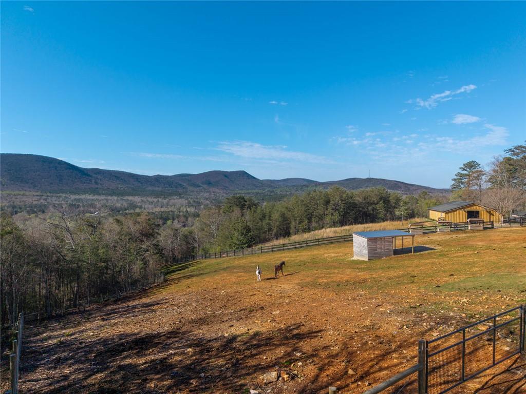 463 East Valley Road Northeast Rydal, GA 30171 - Photo 46 of 54