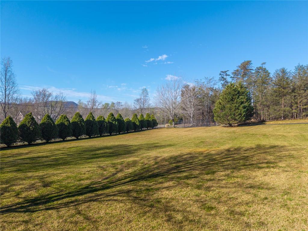 463 East Valley Road Northeast Rydal, GA 30171 - Photo 51 of 54