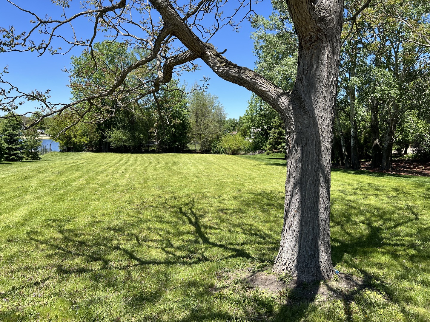 806 Plainfield Road Downers Grove, IL 60516 - Photo 10 of 16 a view of outdoor space with a garden