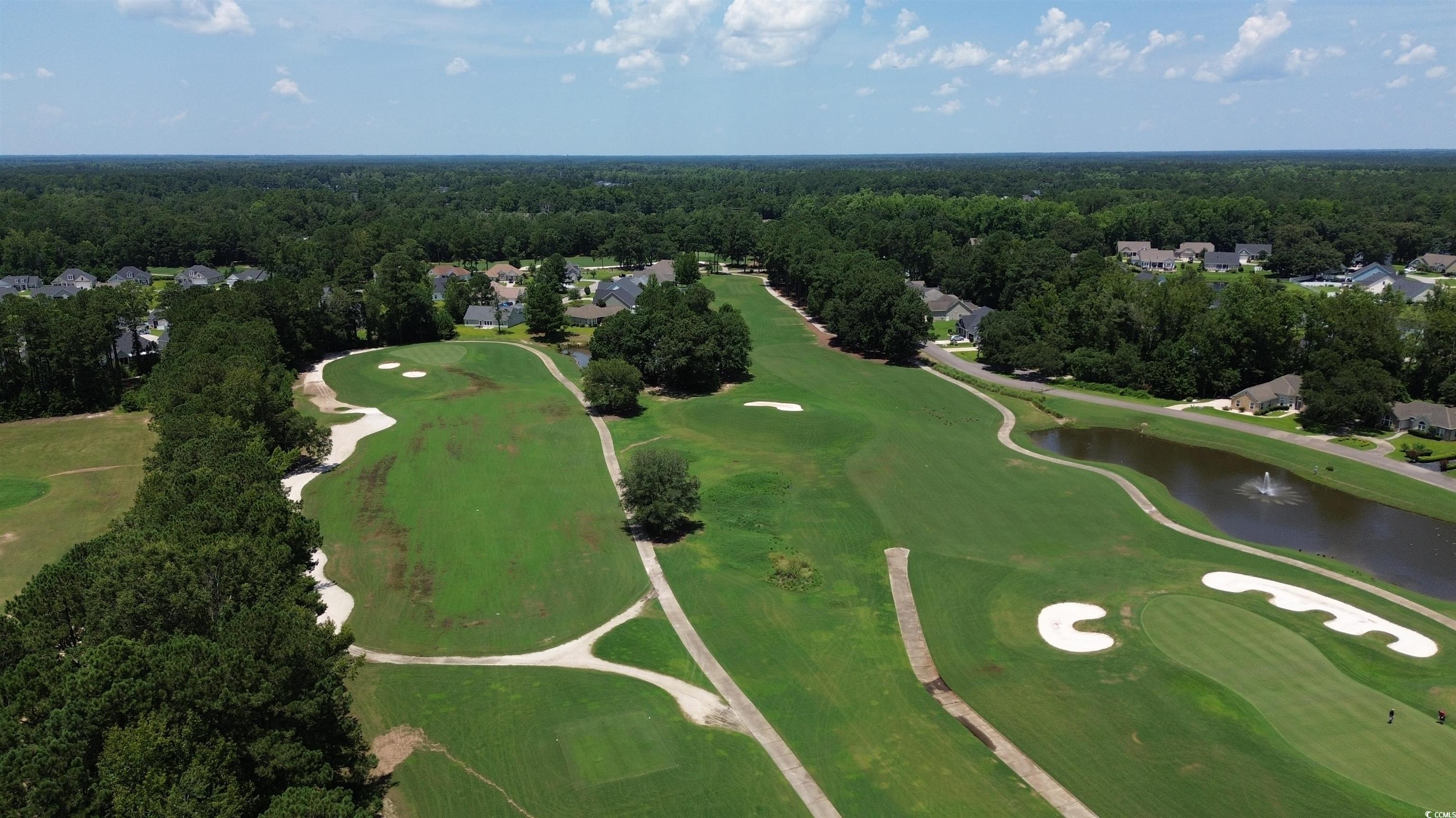 717 Doonbeg Court Conway, SC 29526 - Photo 39 of 40