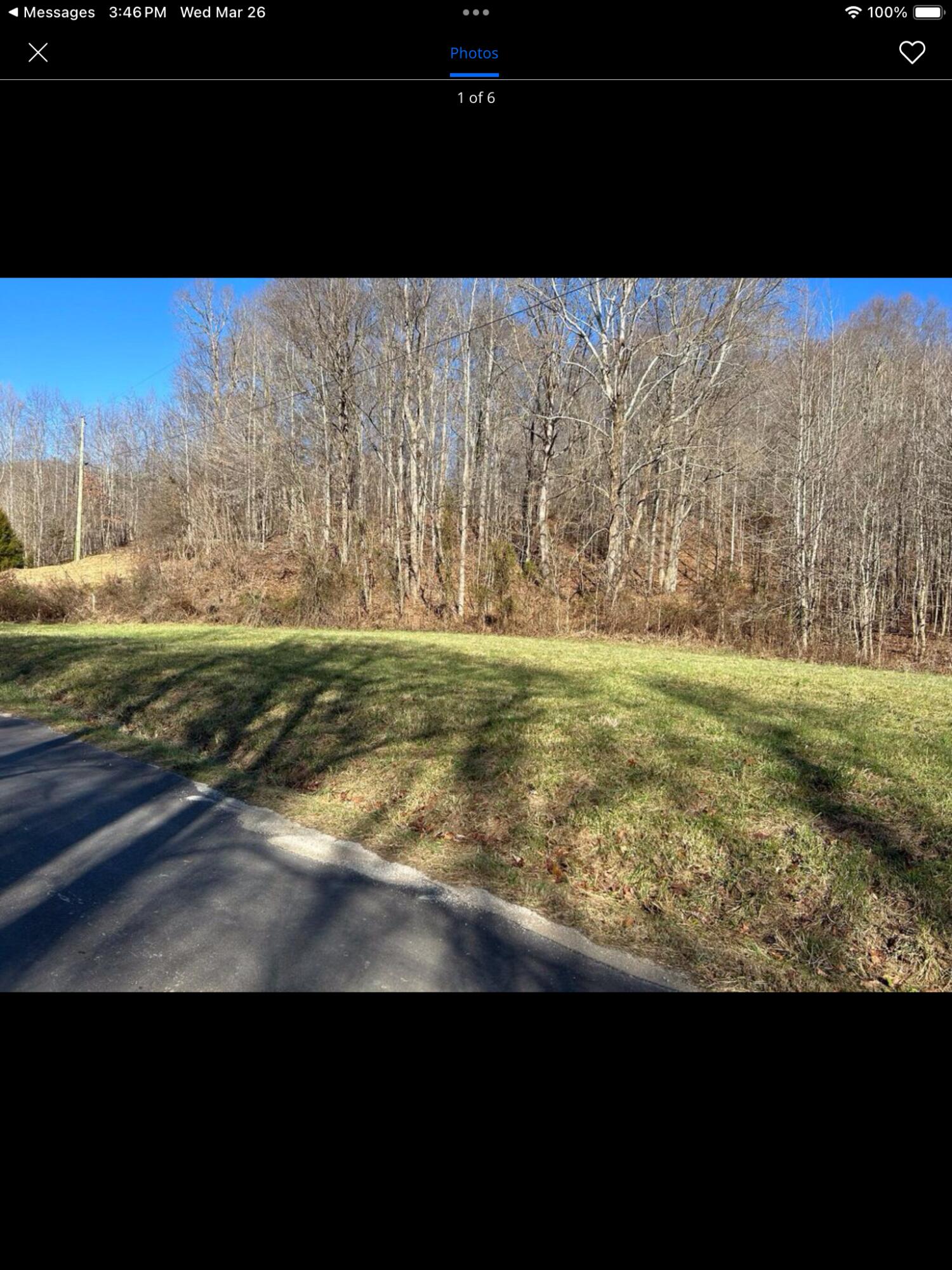 0 Blue Springs Road Vanceburg, KY 41179 - Photo 5 of 6 IMG_6305