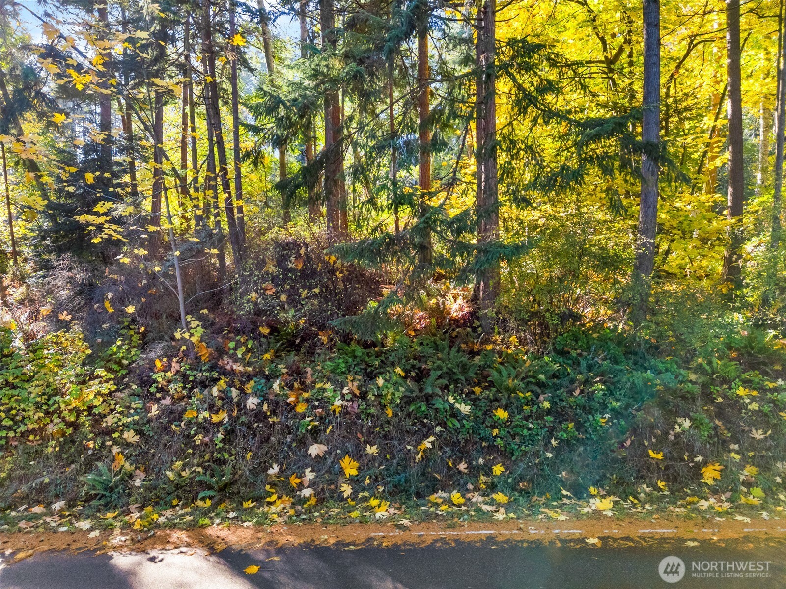 -xx South Harrington Road Coupeville, WA 98239 - Photo 6 of 8