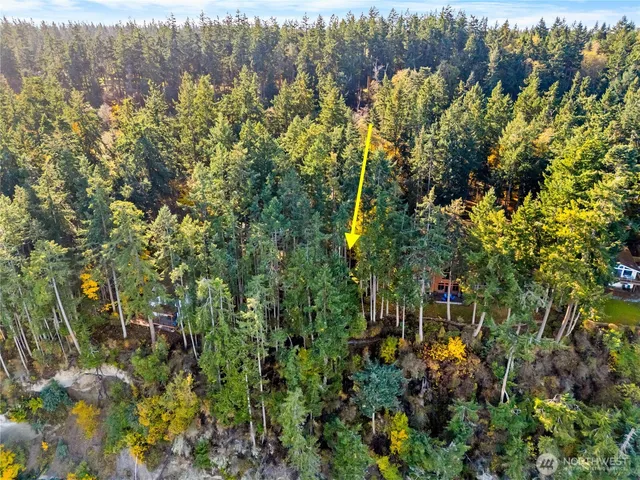 a view of a tree in a backyard of a house