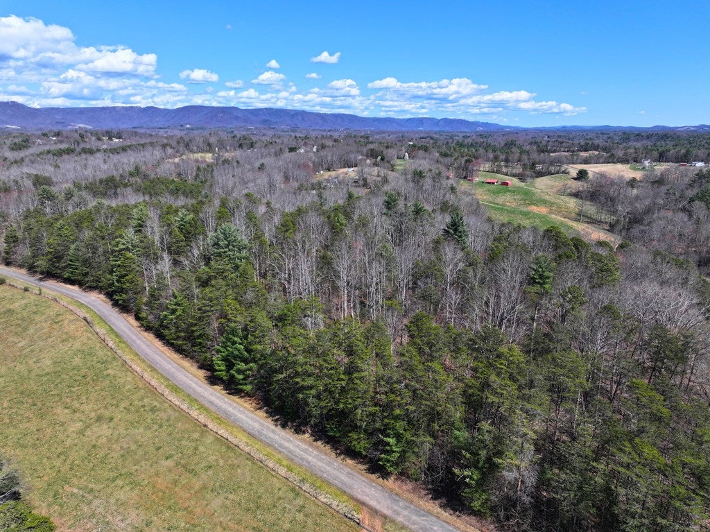 0 Flatridge Road Cana, VA 24317 - Photo 2 of 29 Gallery Image 2