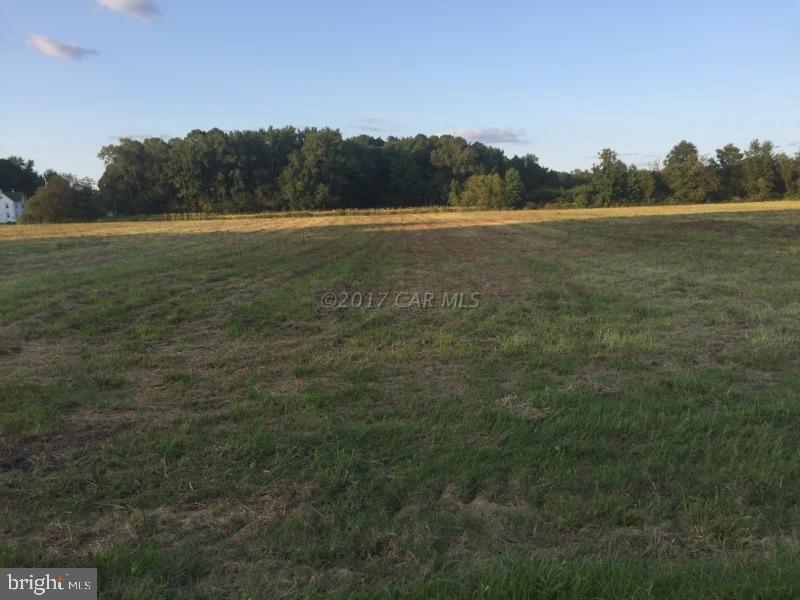 0 Oak Grove Church Road Bivalve, MD 21814 - Photo 4 of 11