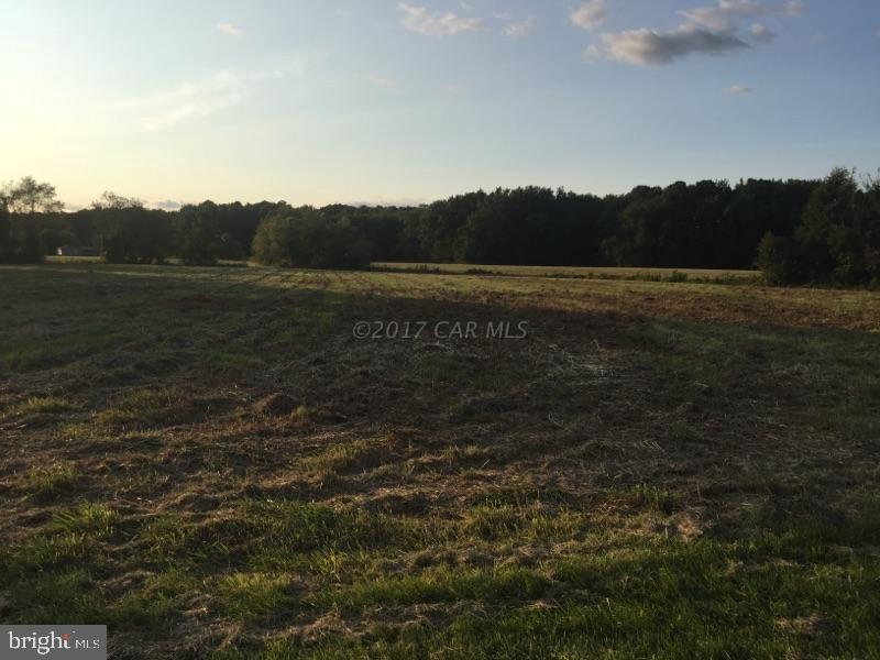 0 Oak Grove Church Road Bivalve, MD 21814 - Photo 10 of 11