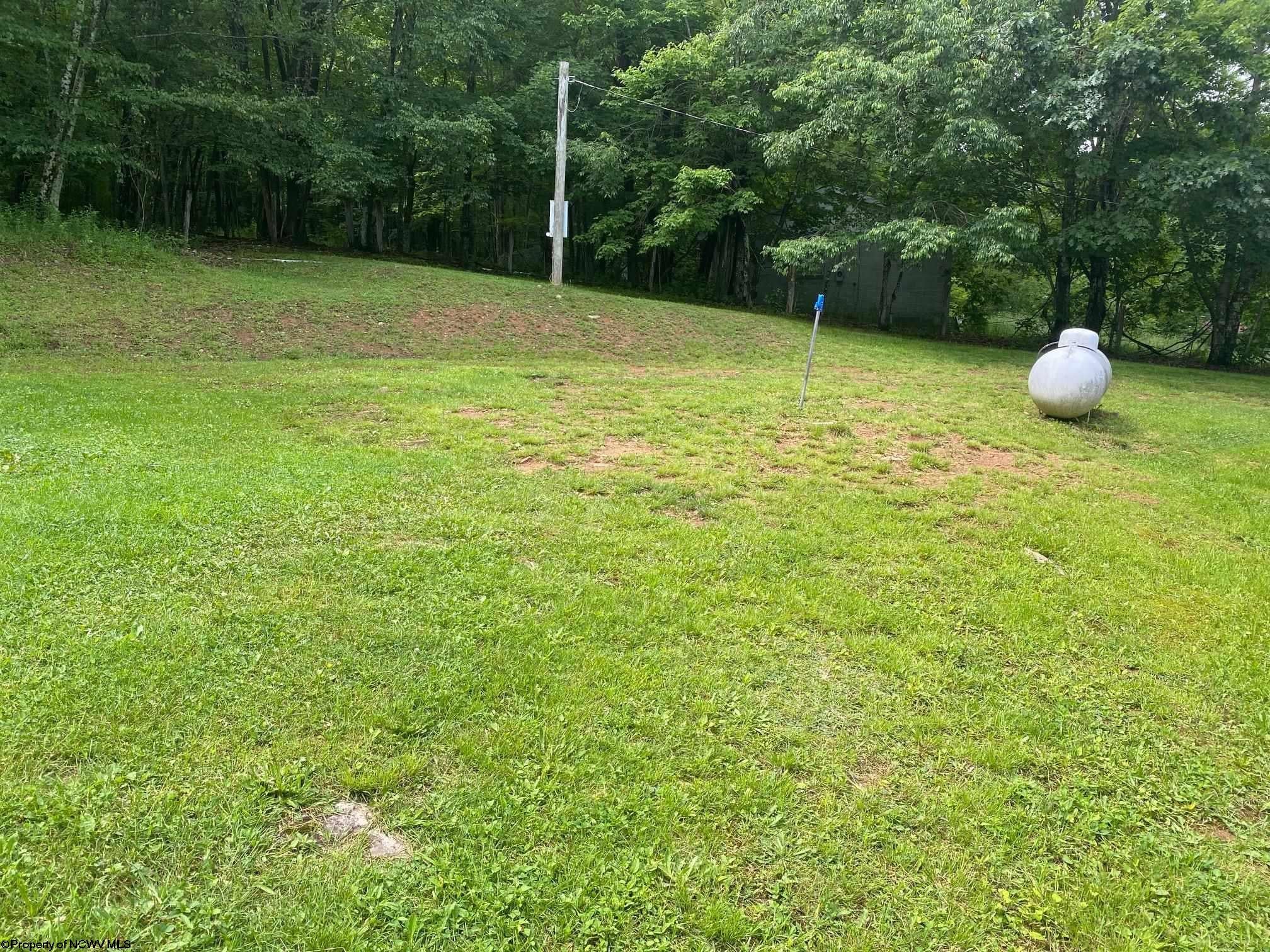 12677 Back Mountain Road Durbin, WV 26264 - Photo 17 of 27 Gallery Image 17