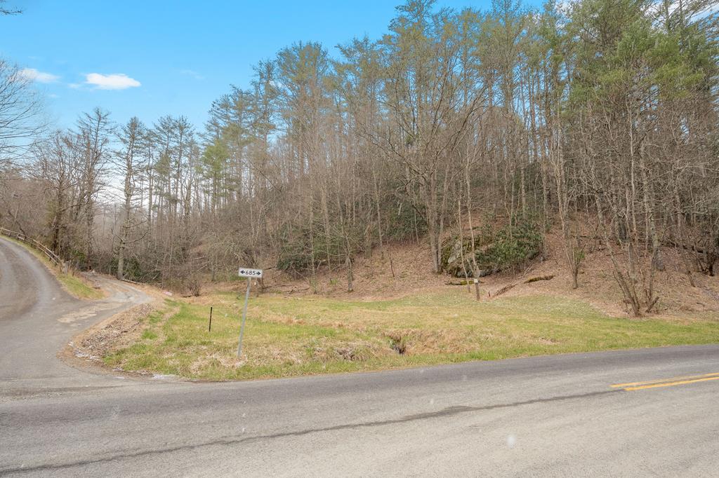 12-acres Powerhouse Road, Unit 14D Independence, VA 24348 - Photo 32 of 44 Gallery Image 32