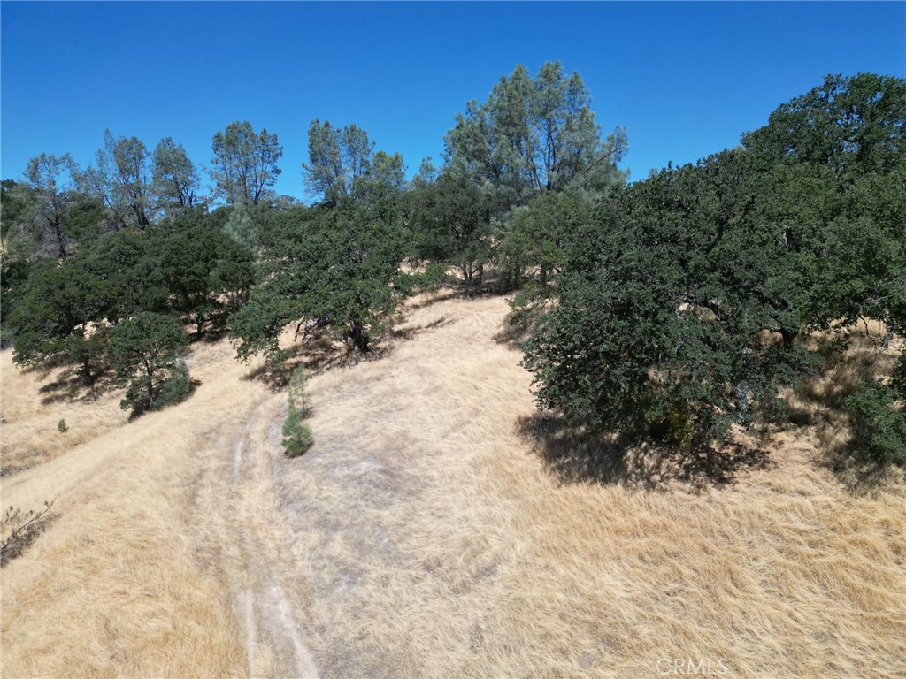 16275 Oakridge Road Corning, CA 96021 - Photo 3 of 6